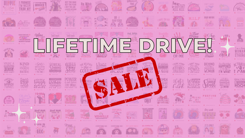Lifetime Drive Access (ONLY $100)
